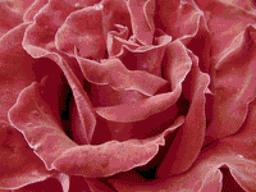 №627440 - предпросмотр