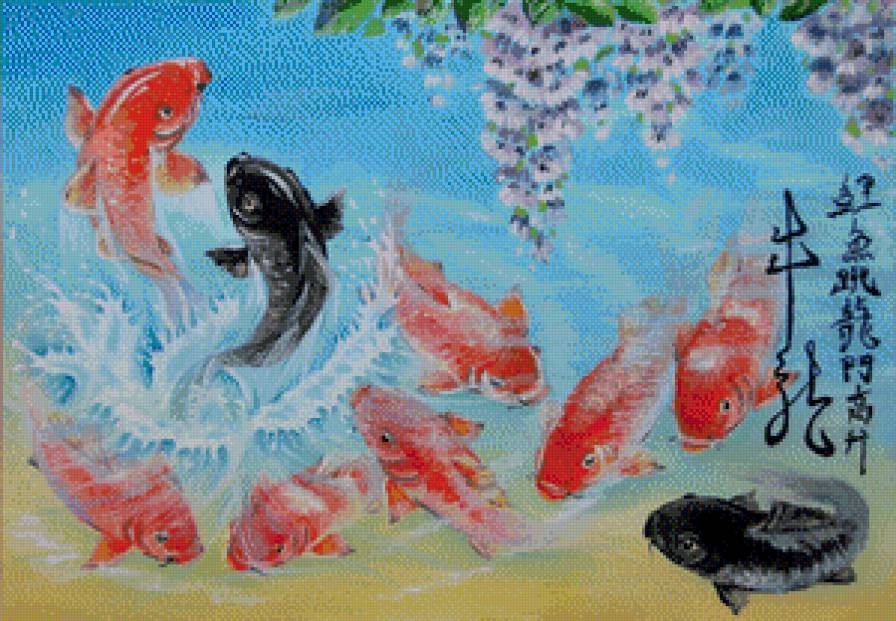 карпы - предпросмотр