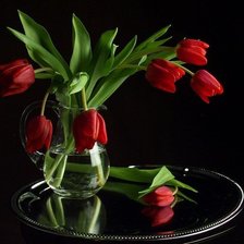 7 нот красоты!