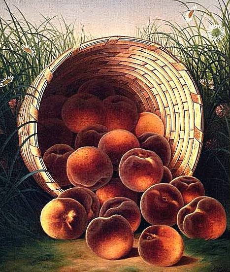 Персики - корзинка, фрукты - оригинал