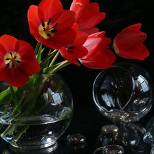 Схема вышивки «тюльпаны»