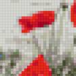 Предпросмотр схемы вышивки «маки на берегу» (№627648)