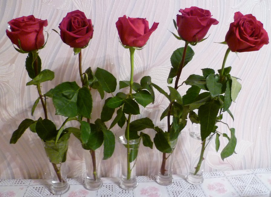 розы в стаканах - розы - оригинал