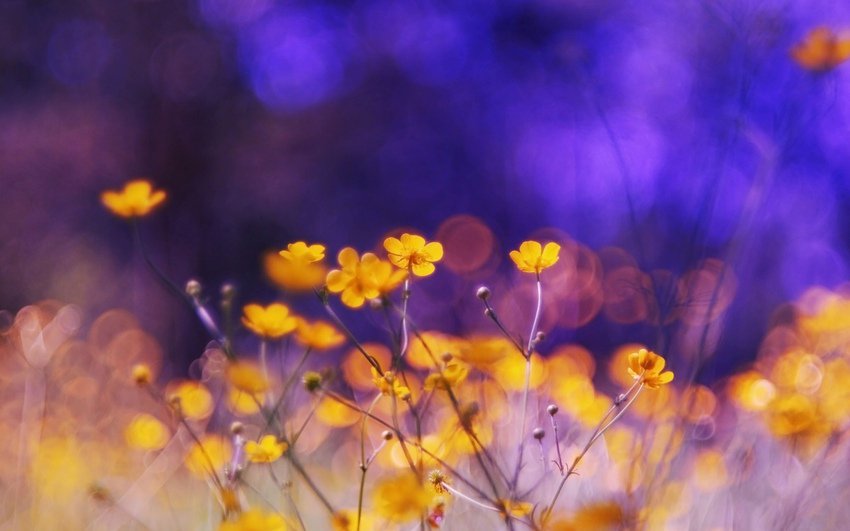 1 - оригинал