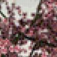 Предпросмотр схемы вышивки «сакура цветёт» (№627901)