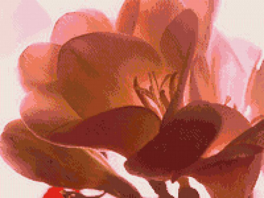 Ц1 - предпросмотр