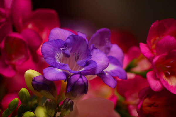 7 - оригинал