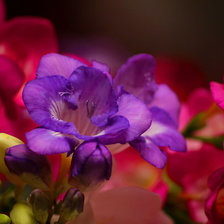 Схема вышивки «7»