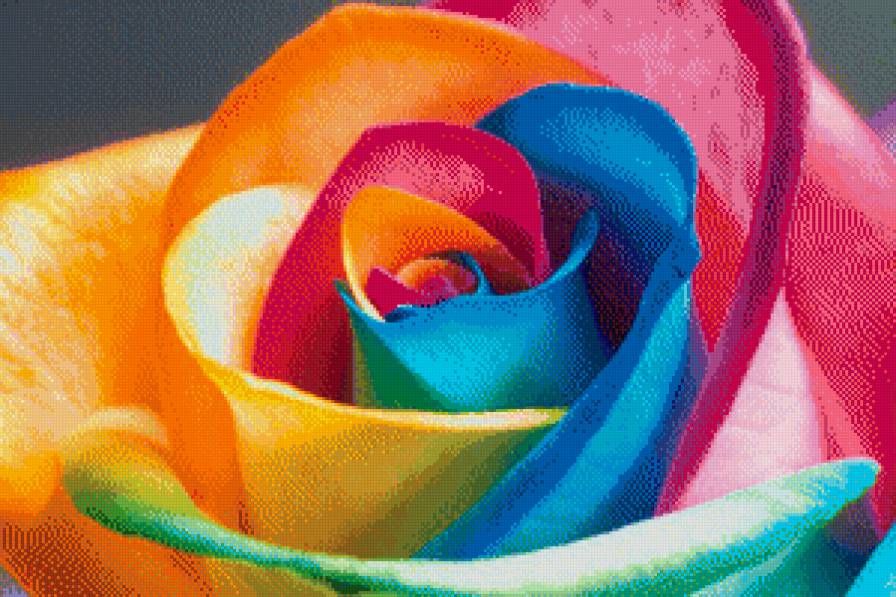 роза - предпросмотр