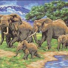 Семья слонов