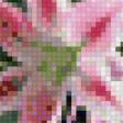 Предпросмотр схемы вышивки «лилии» (№628010)