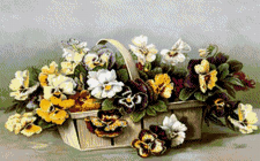 анютыны глазки - виола, цветы, анютыны глазки, букет - предпросмотр