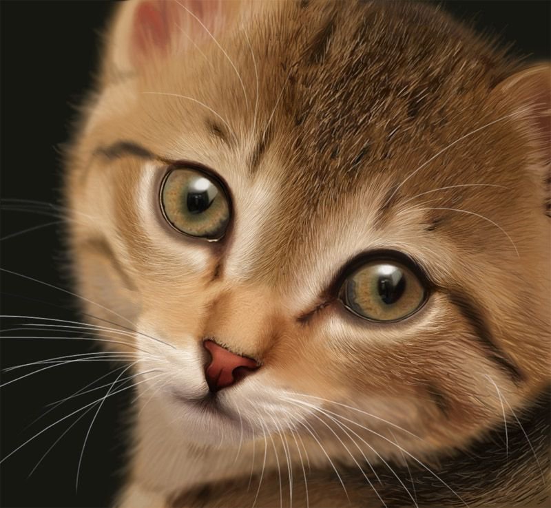 рыжуля - оригинал