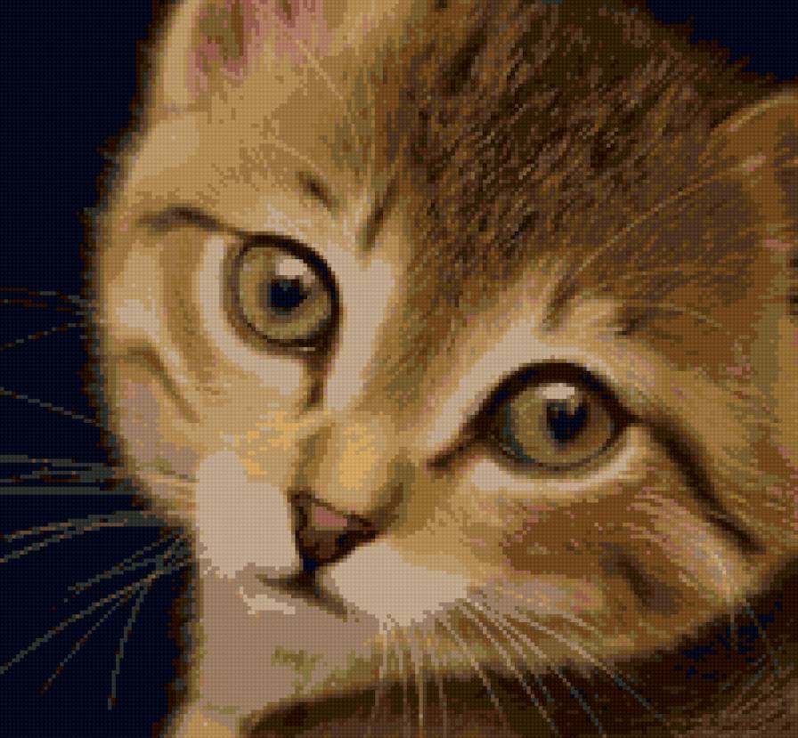 рыжуля - предпросмотр