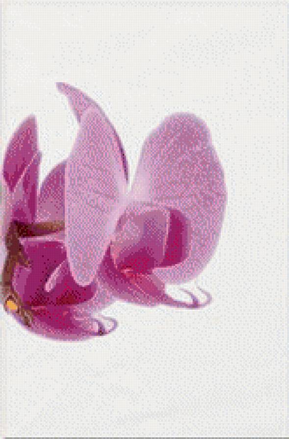 триптих3 45 - предпросмотр