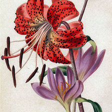 Из цикла миниатюры.