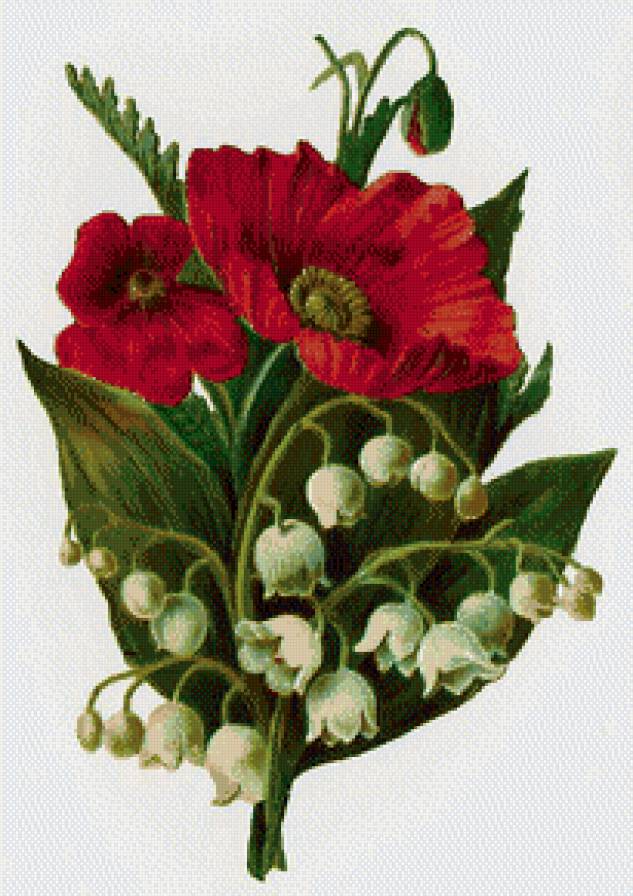 Красное с белым. - предпросмотр