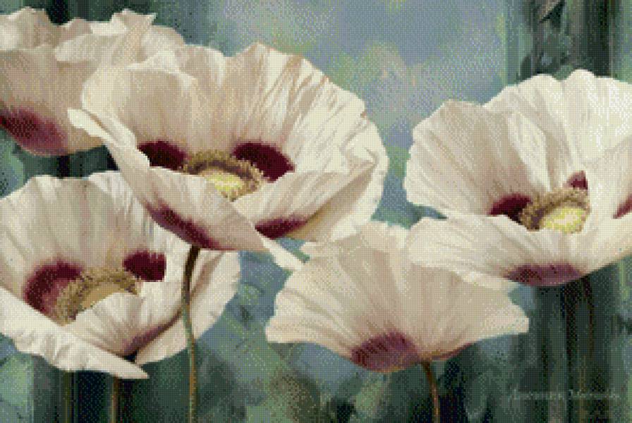 Белые маки 2 - предпросмотр