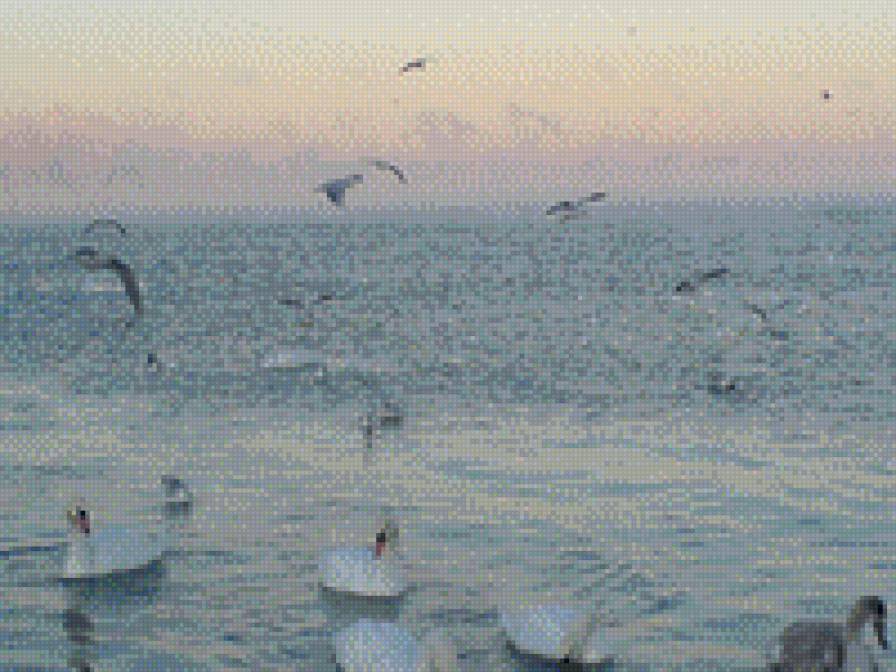 Лебиди - море, лебеди - предпросмотр