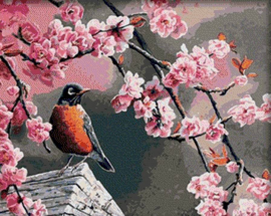 птичка и цветущая сакура - цветы - предпросмотр