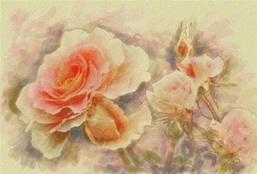 чайная роза - роза, акварель, цветы, нежность - предпросмотр