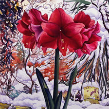 Лилии на снегу