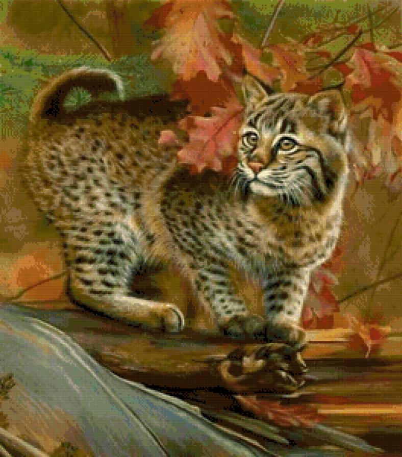 картина - картина - предпросмотр