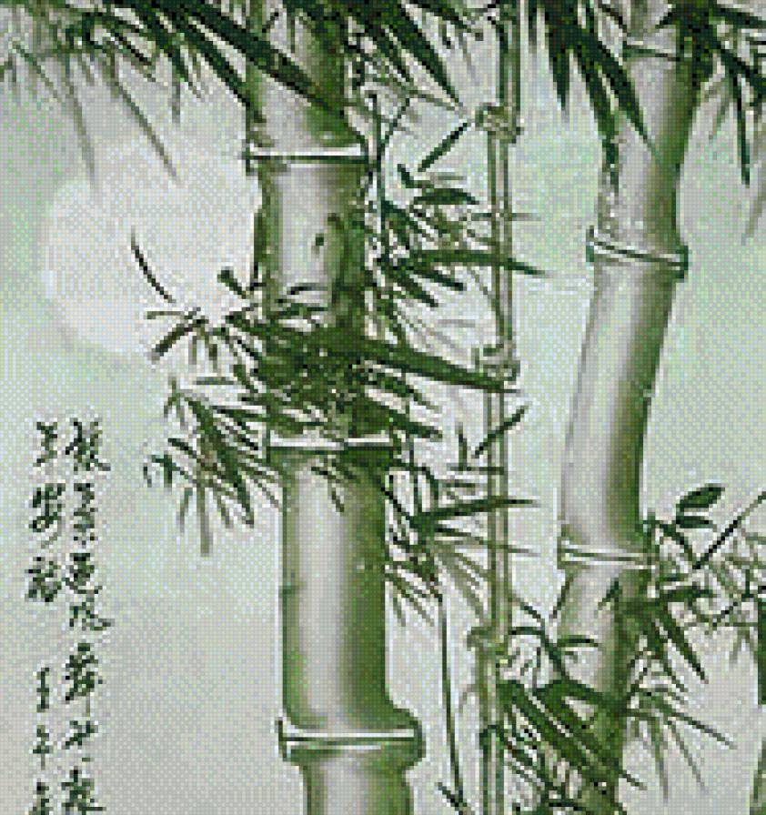 Бамбук-1 - предпросмотр