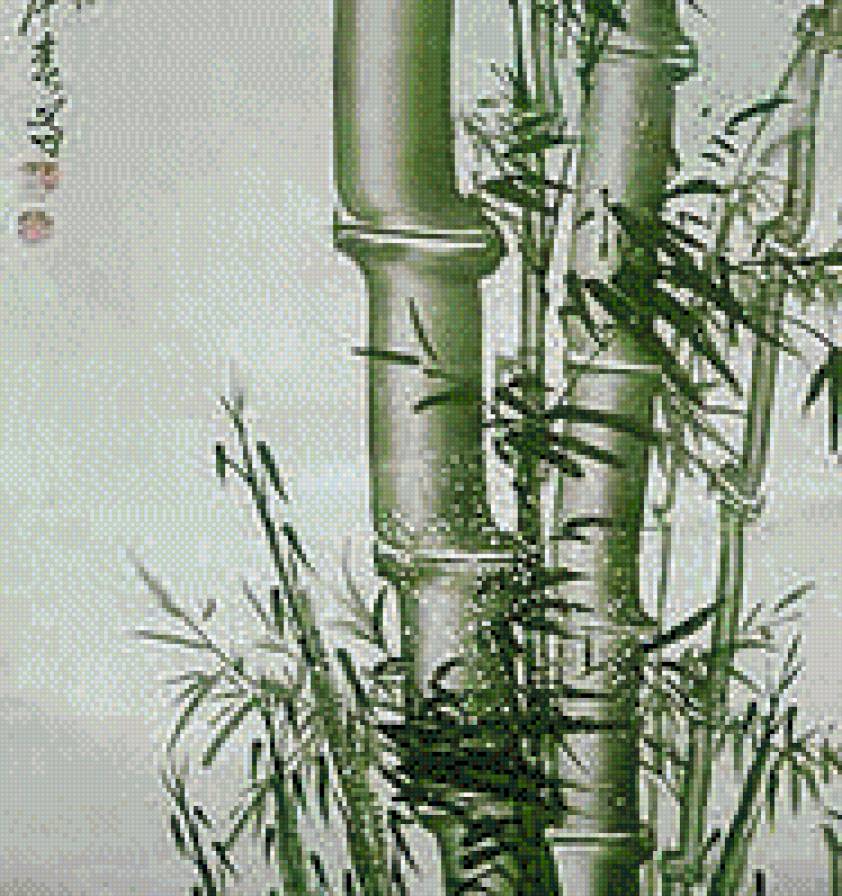 Бамбук-2 - предпросмотр