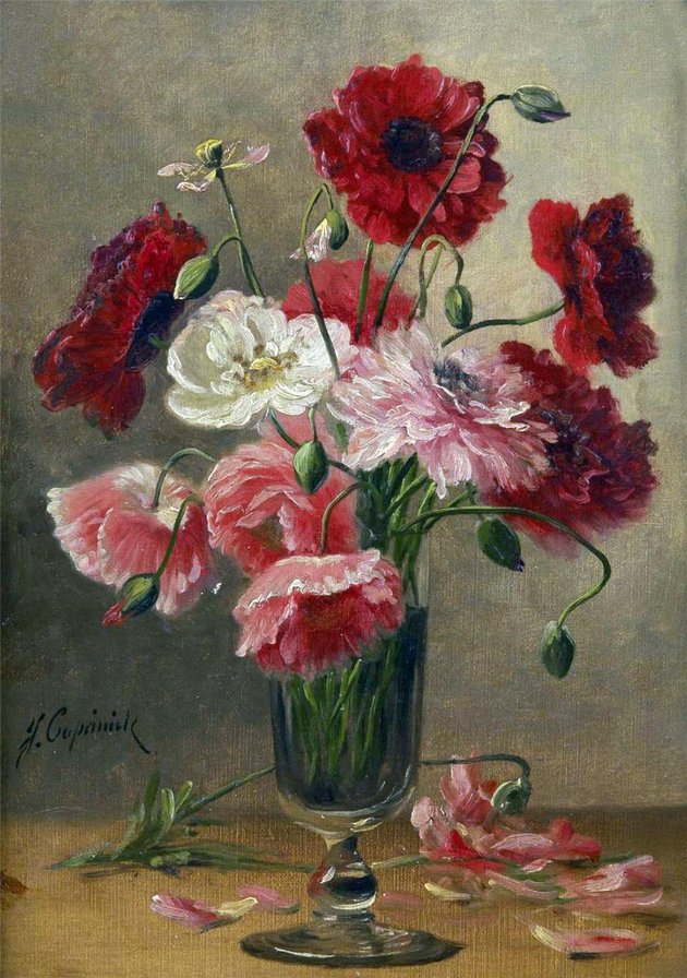 маки - цветы - оригинал