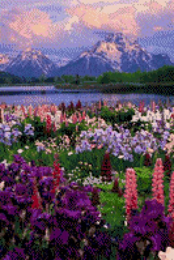 №629250 - предпросмотр