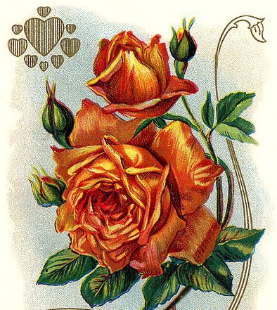 №629265 - оригинал