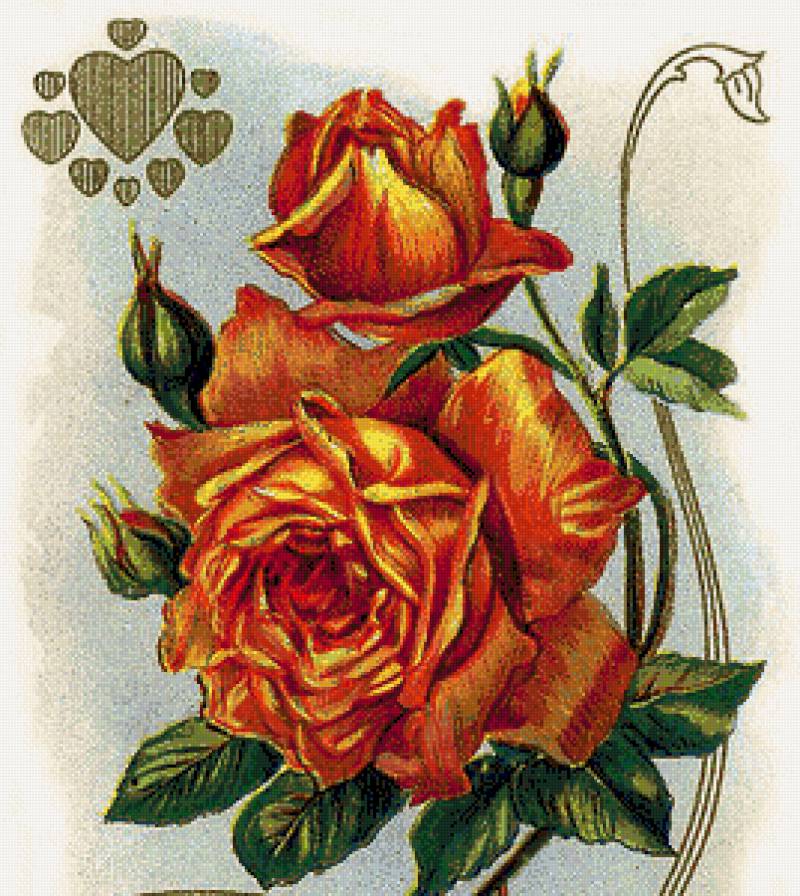 №629265 - предпросмотр