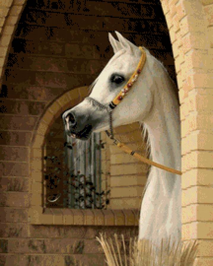 №629269 - животные - предпросмотр