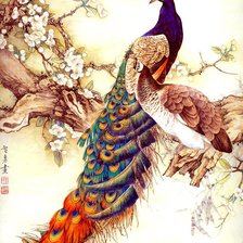 Схема вышивки «Павлины»