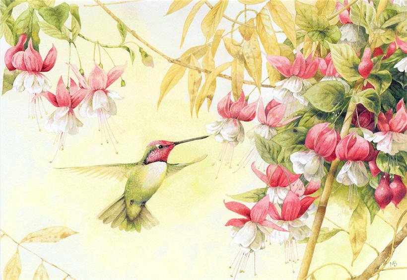 калибри с цветами - калибри, весна, цветы, птицы - оригинал