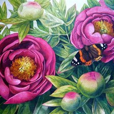 Схема вышивки «пионы с бабочкой»