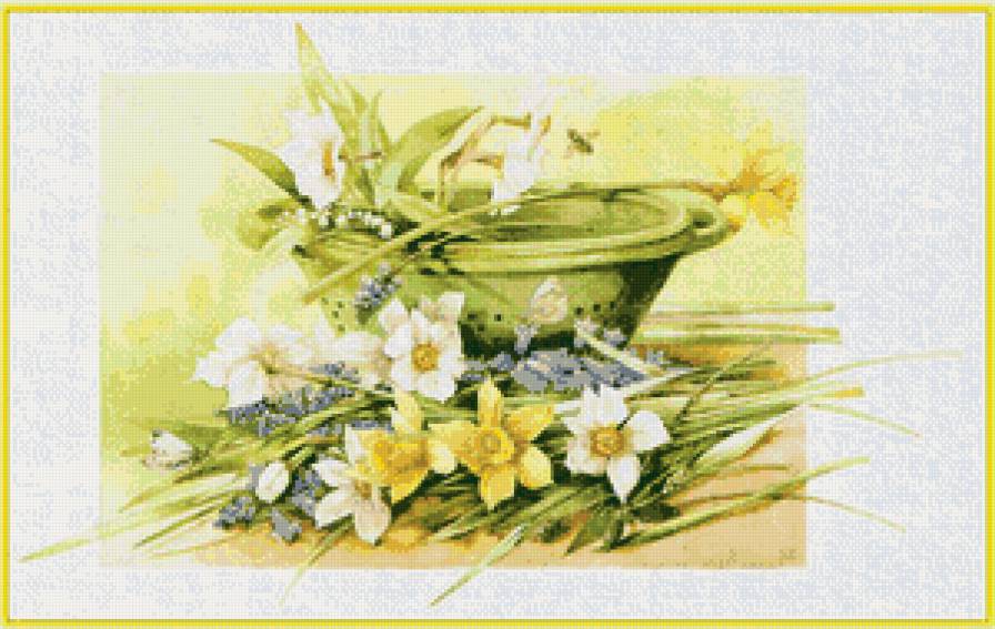 нарцисы - нарцисы, цветы, весна - предпросмотр