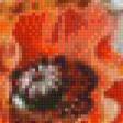 Предпросмотр схемы вышивки «маки» (№629415)