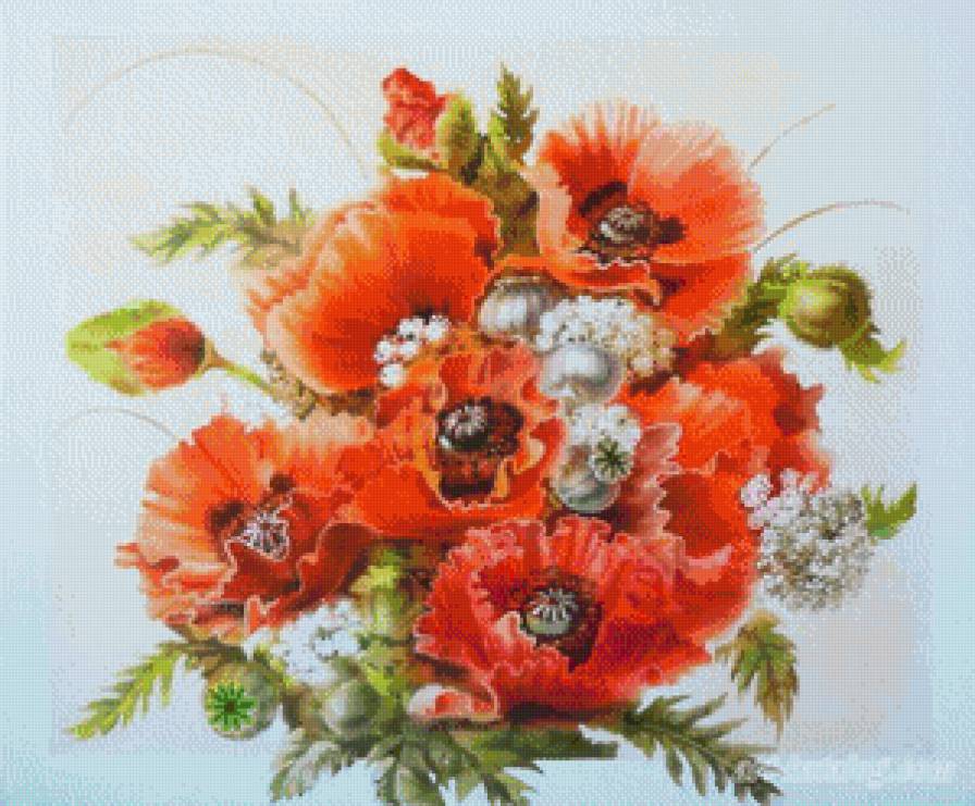 маки - лето, цветы, маки - предпросмотр