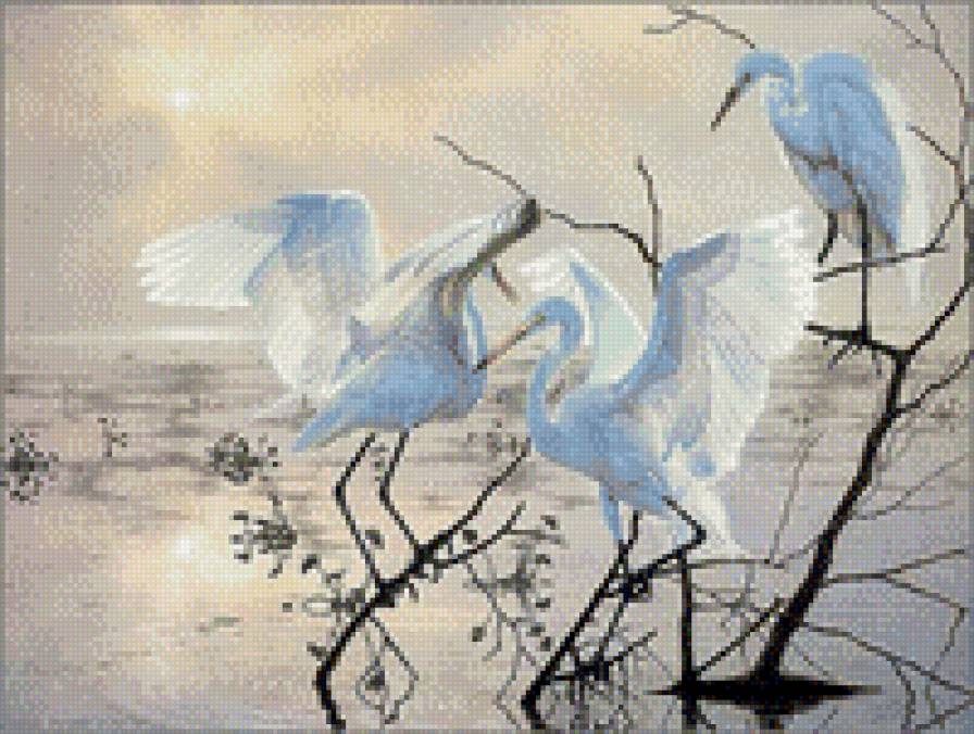 Танец птиц - птицы, танец, вода - предпросмотр