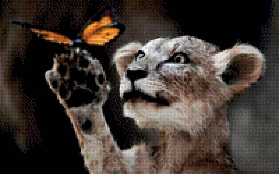 Кошка - кошка - предпросмотр