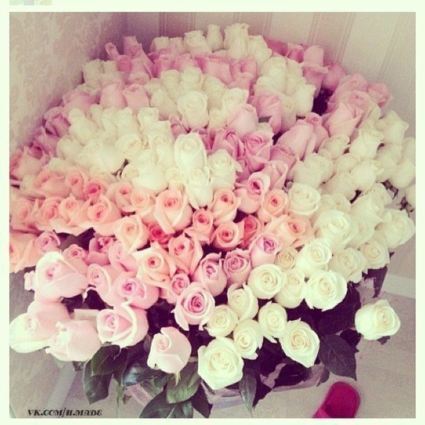 Мечта девушки - цветы, розы - оригинал