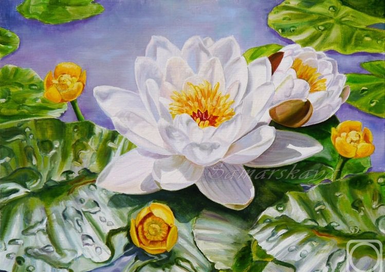 кувшинки - оригинал