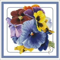 анютины глазки - букет, цветы - оригинал