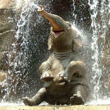 Счастливый слон