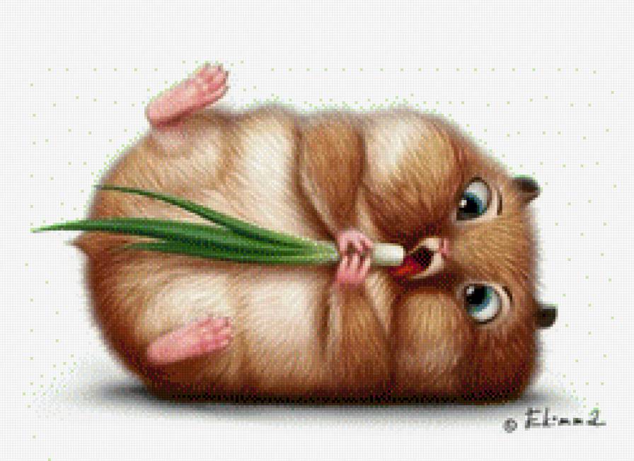 Хомяк на диете - толстый, животные, диета, хомяк, еда - предпросмотр