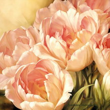 Схема вышивки «Очарование розовых тюльпанов.»