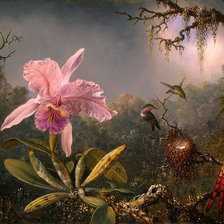 Схема вышивки «картина розова орхідея»