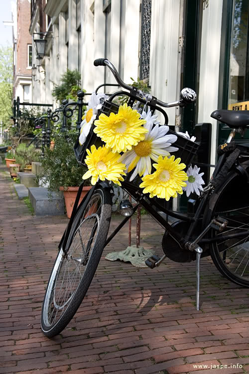 №630033 - оригинал